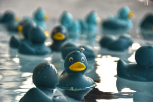Entli Fische